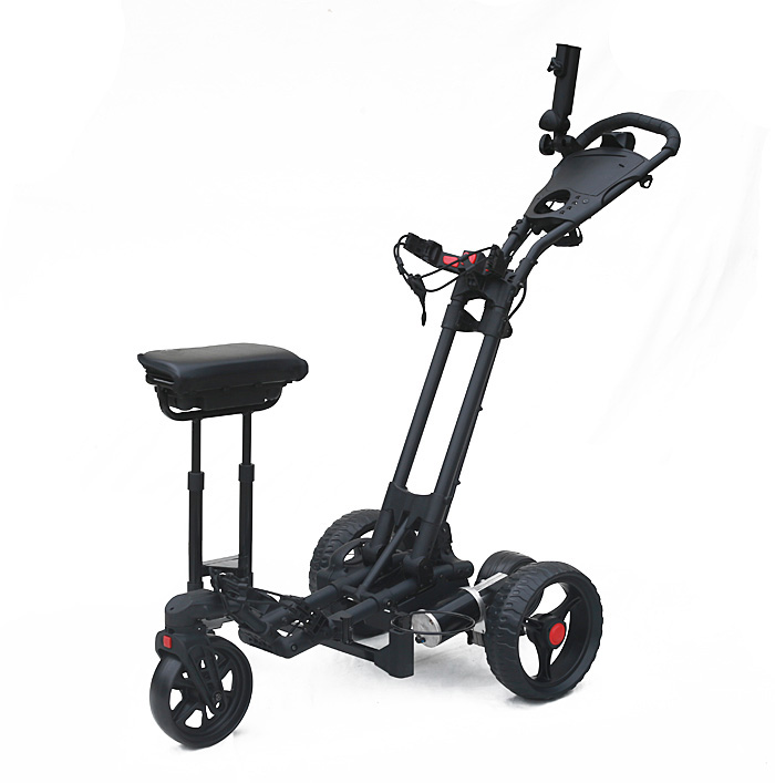 Double Frame Electric Cart