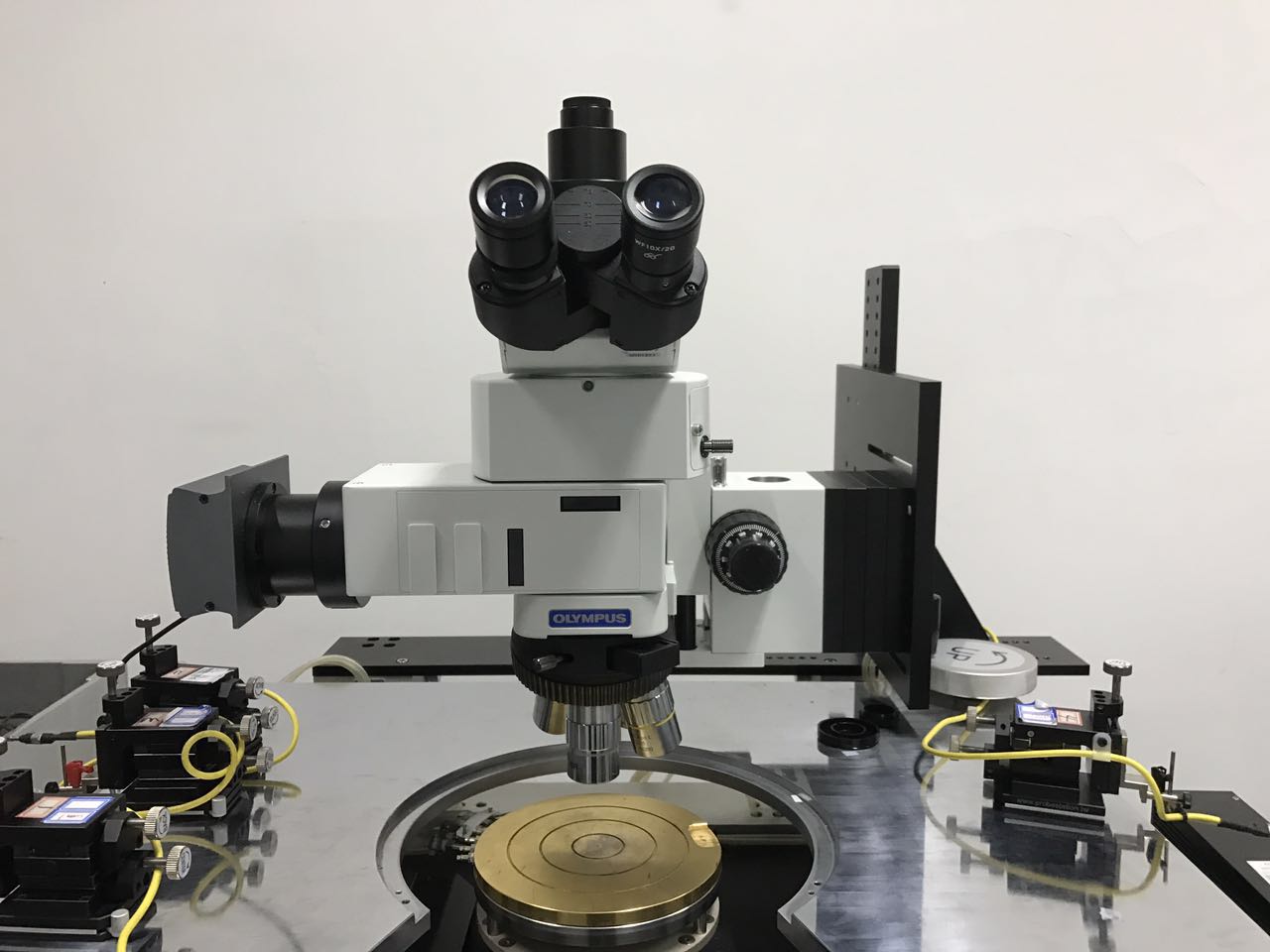 BXFM定制系统显微镜