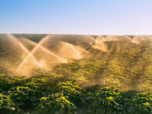 智能灌溉技术