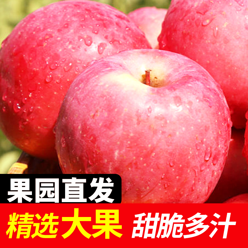 正宗烟台红富士苹果当季新鲜水果整箱批发3斤/5斤/10斤脆甜多汁