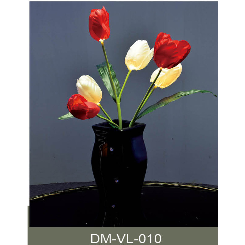 DM-VL-010