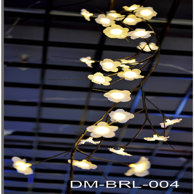 DM-BRL-004