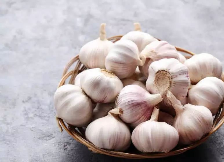 How to preserve fresh garlic?