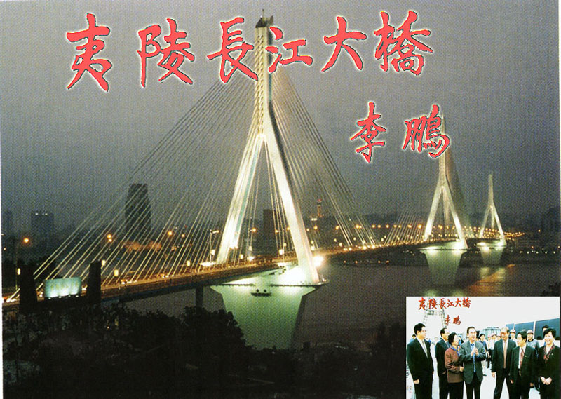 夷陵长江大桥-盆式橡胶支座