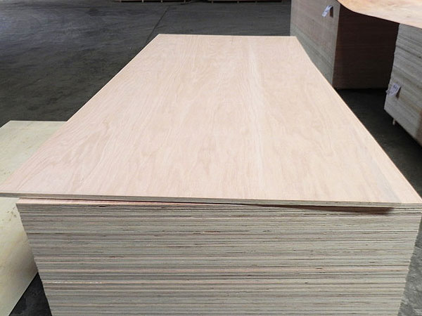 Straight grain ash plywood