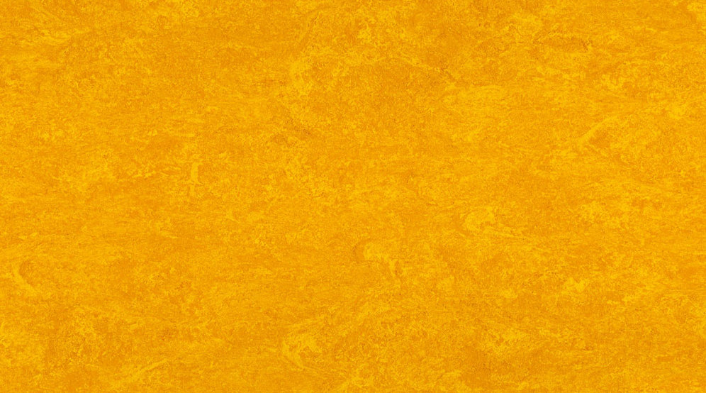 0172 Papaya Orange