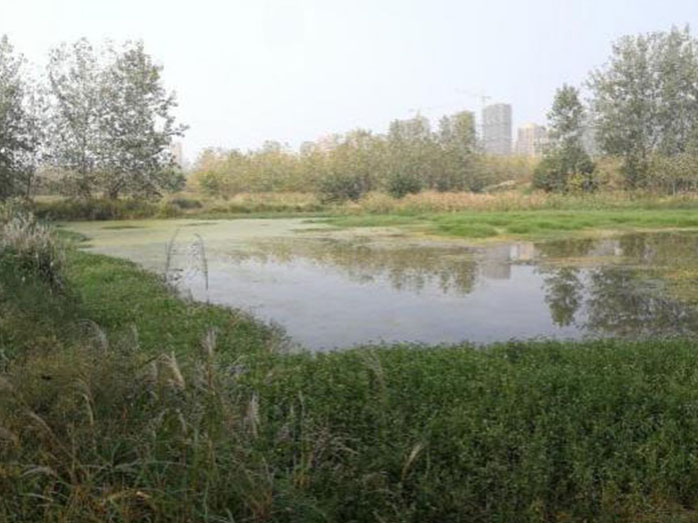 山西浍河治理项目（MABR湿地组合技术）