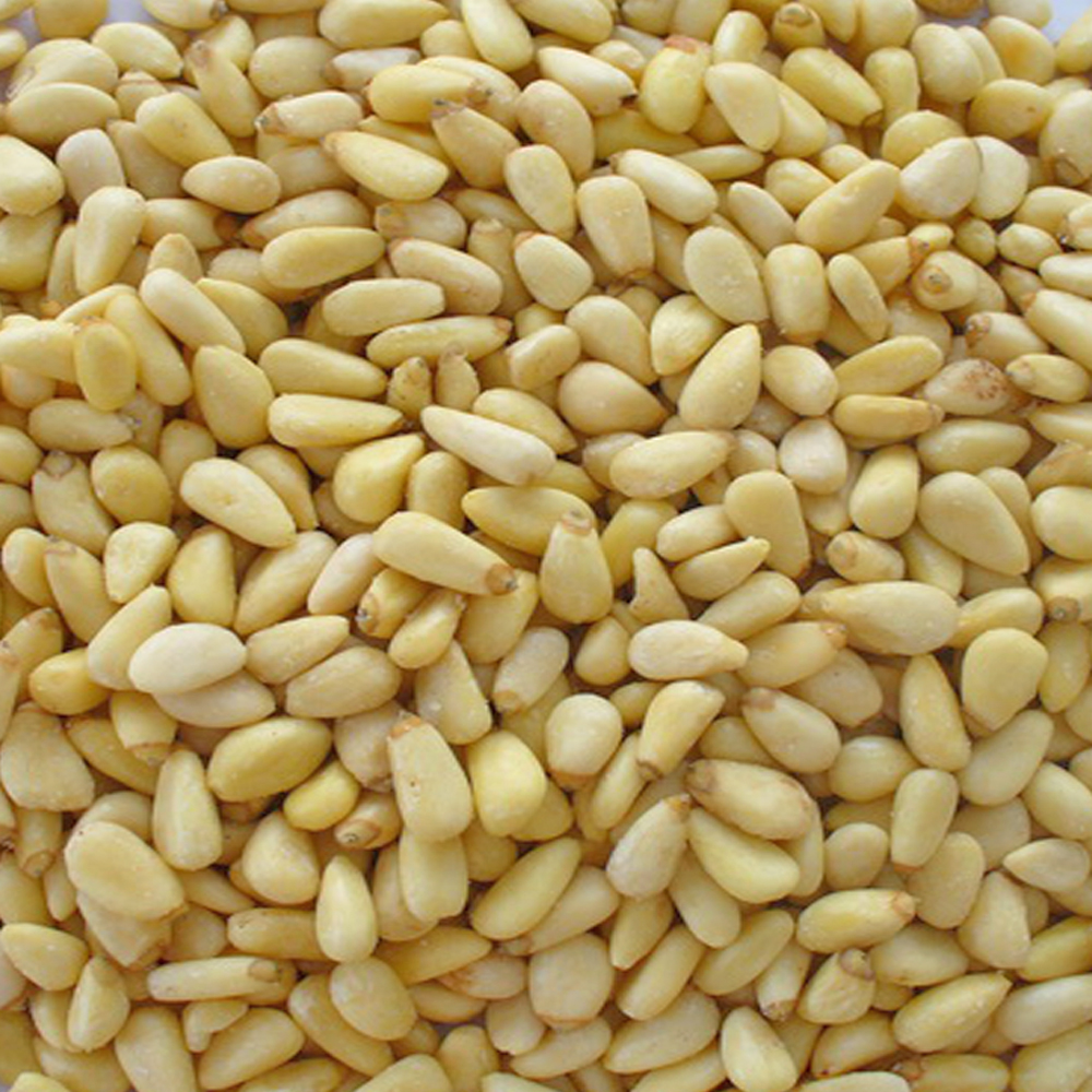 Chinese Pine nut kernel