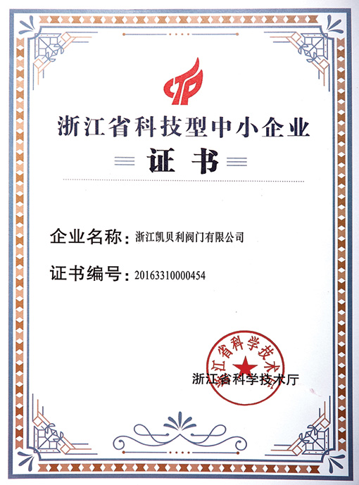 Сертификат научно-технического малого и среднего бизнеса провинции чжэцзян