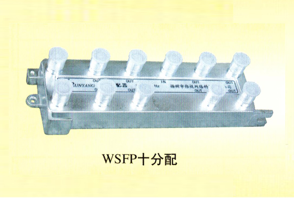 WSFP十分配