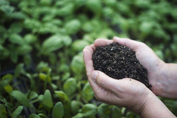复合肥料是指什么？