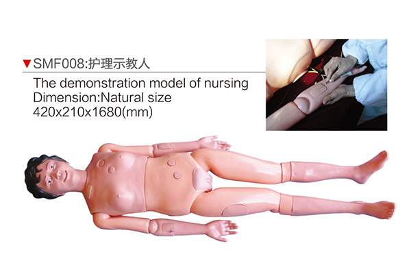 SMF008 The demonstration model of nursing