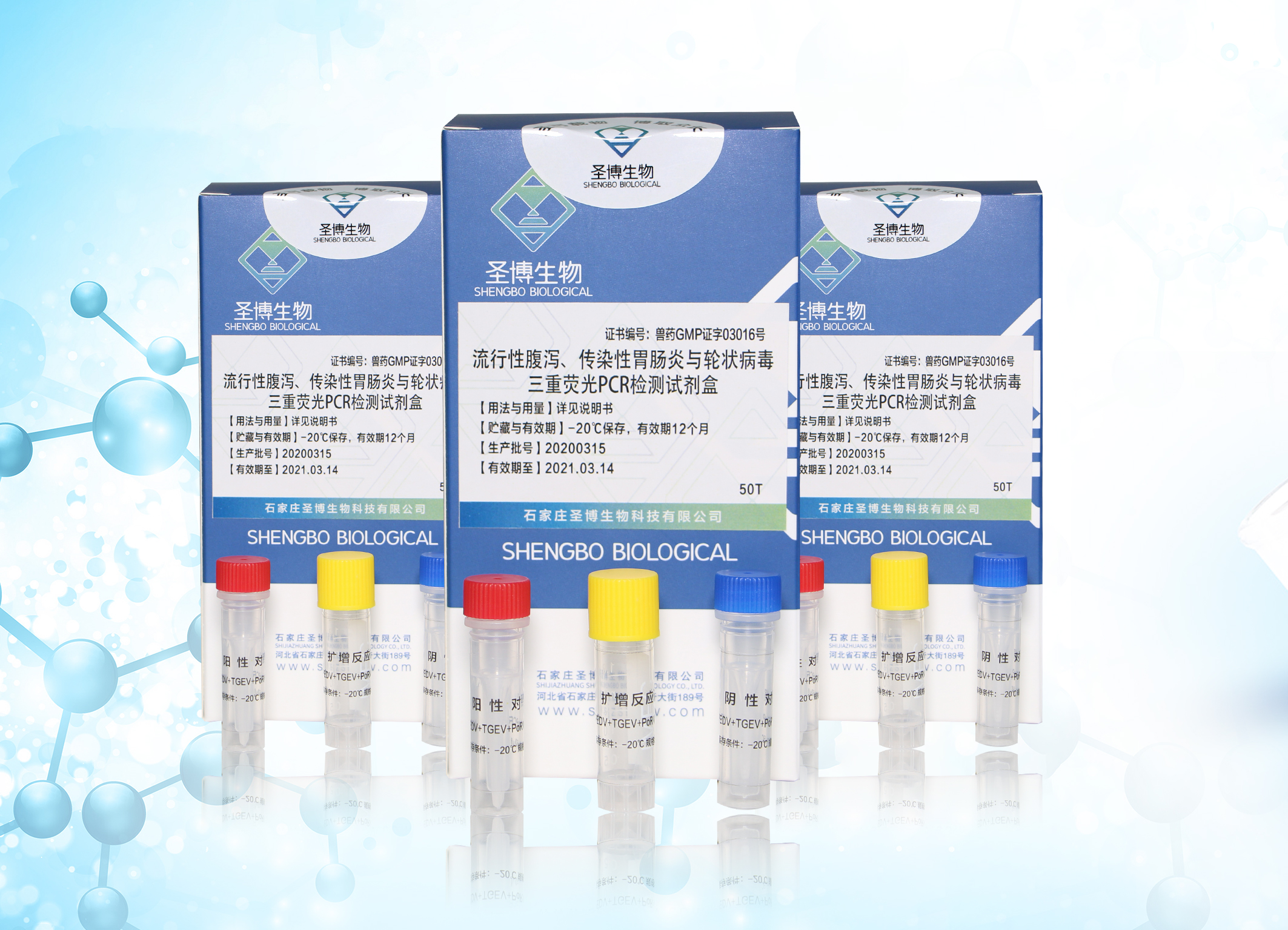 流行性腹泻、传染性胃肠炎与轮状病毒三重荧光PCR检测试剂盒