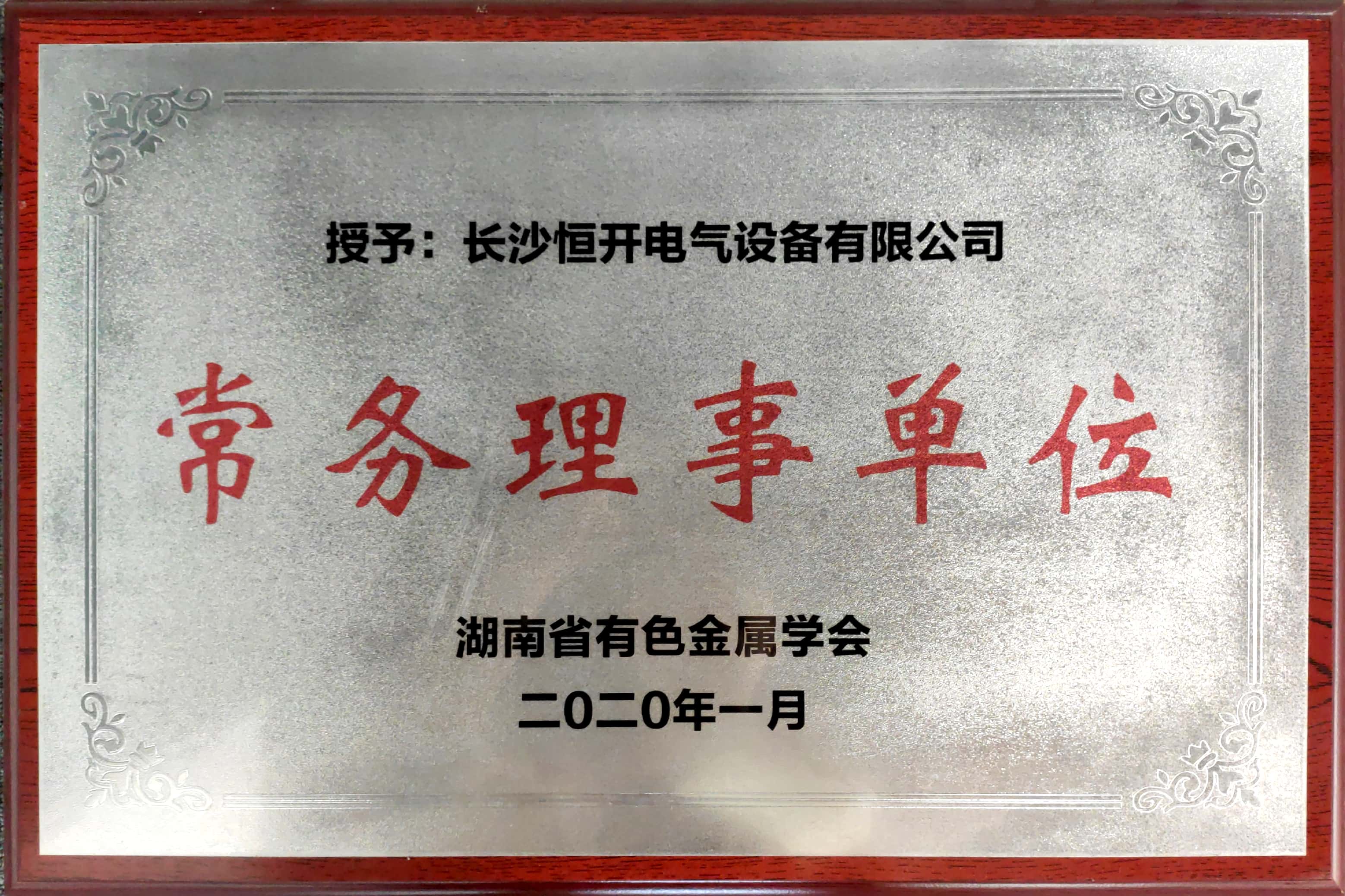 Hunan Nonferrous Metals Society: Standing Director Unit