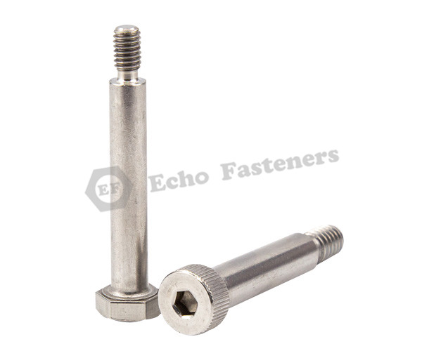 Stainless Steel Special Screw
