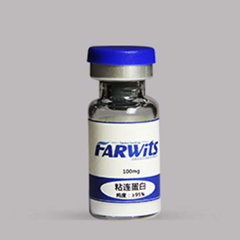 Bovine-Fibronectin-Lyophilized-Powder
