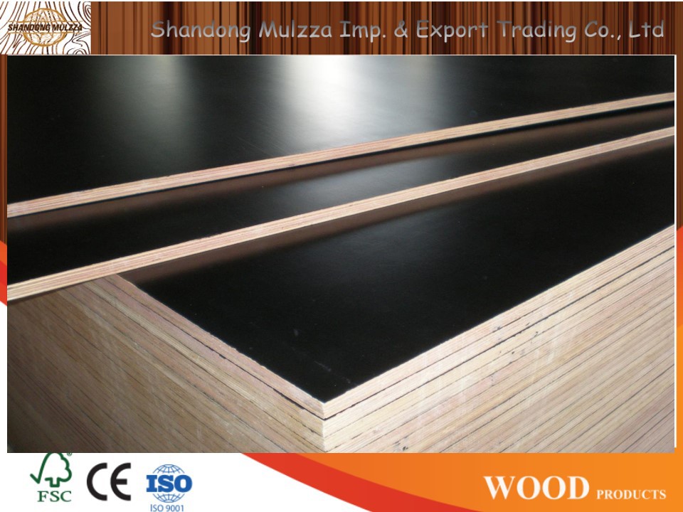 Film Faced Plywood For sale introduces the basic principles of plywood