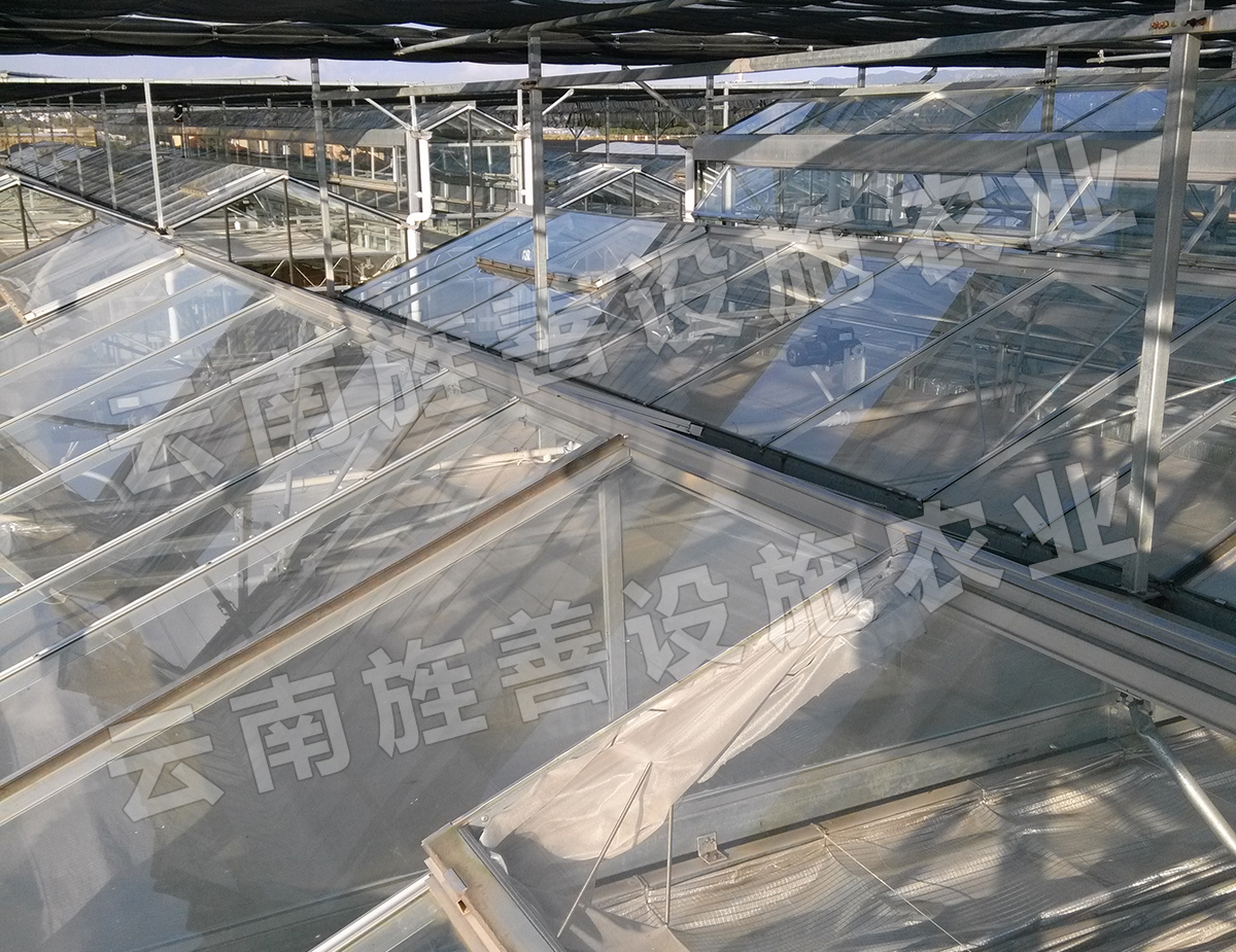 玻璃温室顶面-寻甸