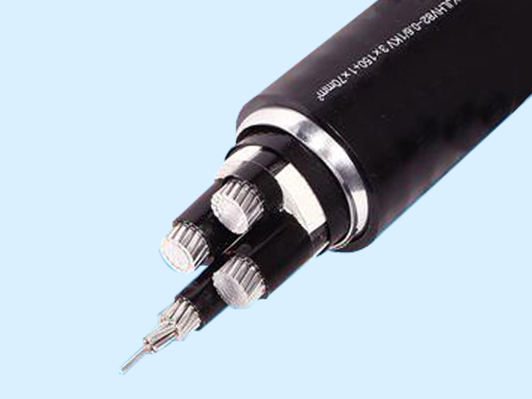 国标电缆厂家给大家介绍下电缆常见故障以及储存的方法