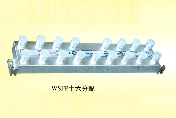 WSFP十六分配
