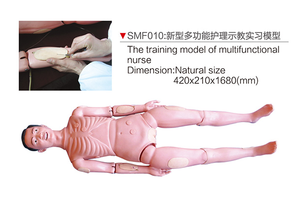 SMF010 The training model of multifunctional nurse