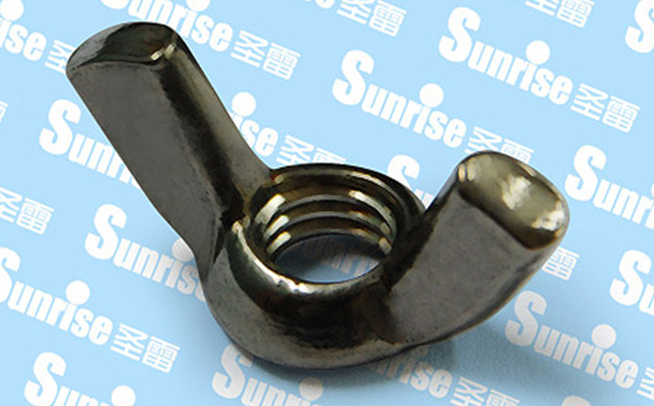 Stainless Steel Cold Forged Wing Nut