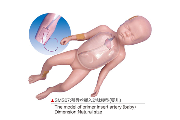 SMS07 The model of primer insert artery (baby)