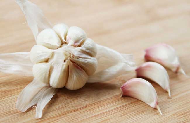 Origin and varieties of garlic