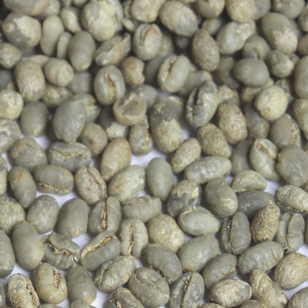 Chinese Green Coffee Beans 12/14 scr