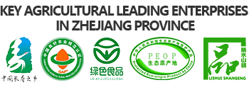 Key agricultural leading enterprises in Zhejiang Province
