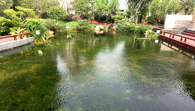 Foshan Shunde Meidi Community Landscape Water Design