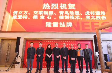 Zhaoqing Emerald Electronic Technology Co., Ltd.