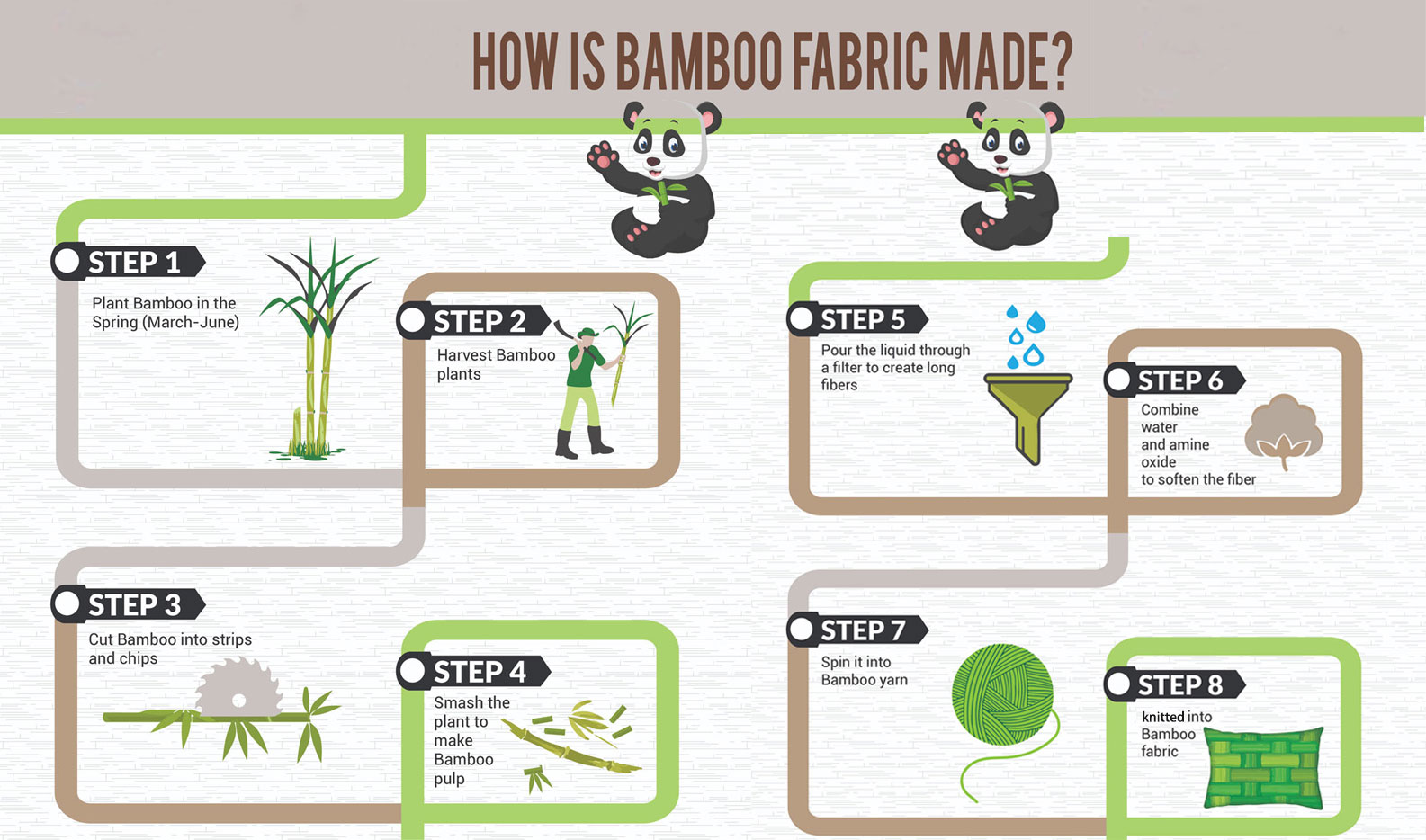 What bamboo