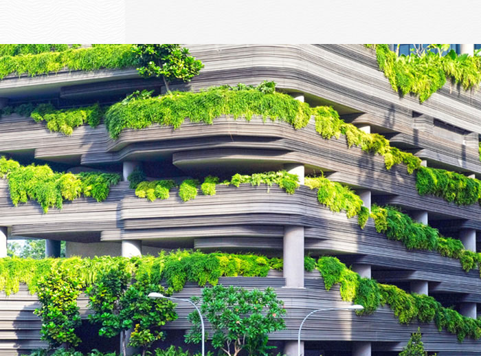 深圳市翠箓科技绿化工程有限公司