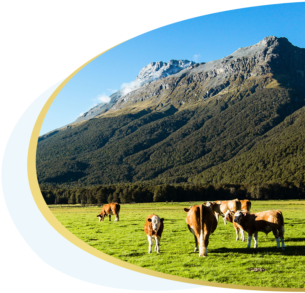 新西兰进口奶源，精湛品质