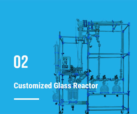 Customized Glass Reactor