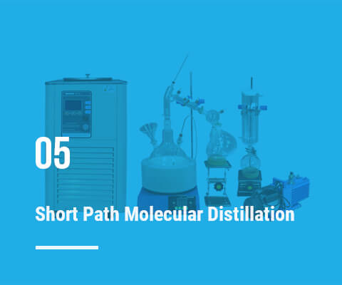 Short Path Molecular Distillation