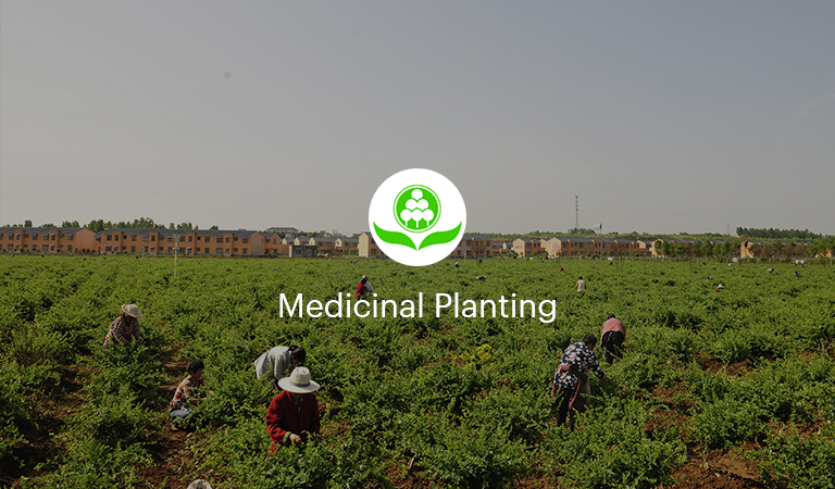 Medicinal Planting