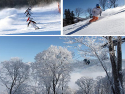 北大壶滑雪学校