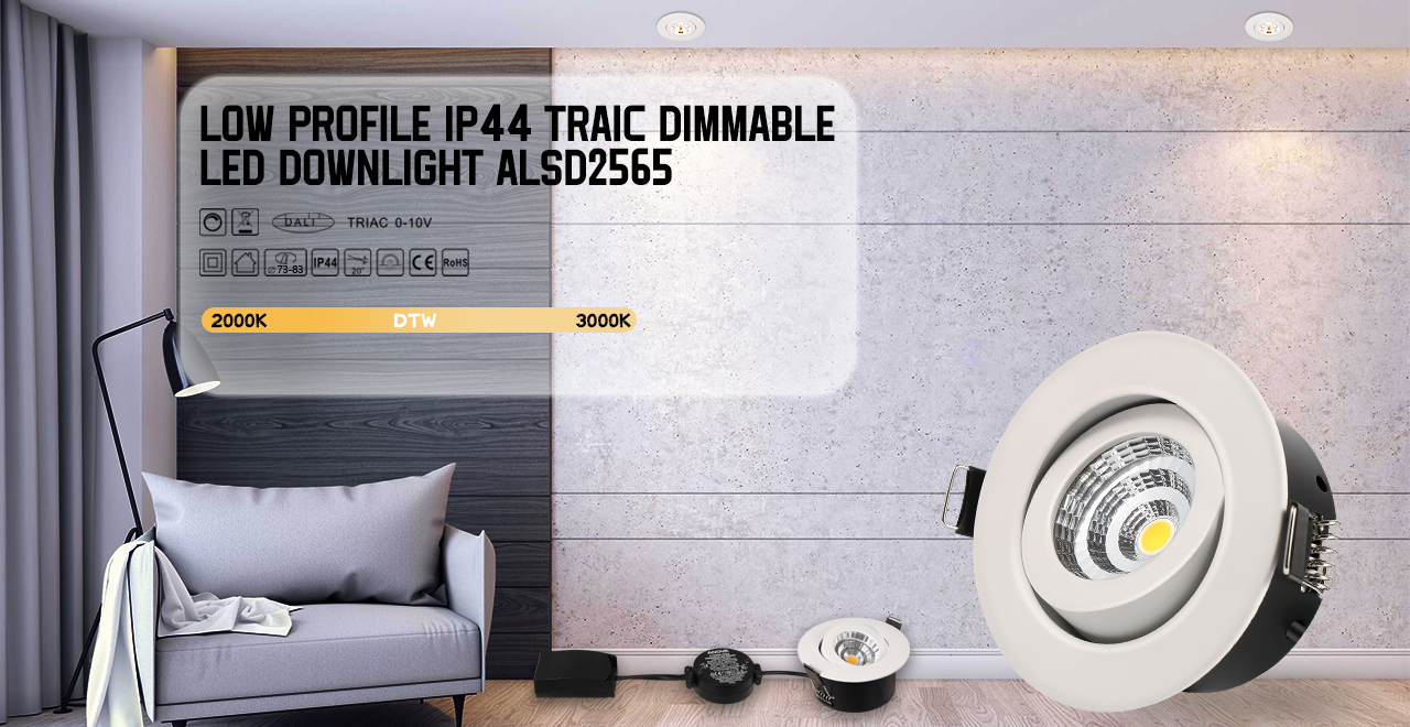 Low profile IP44 Traic dimmable LED Downlight ALSD2565
