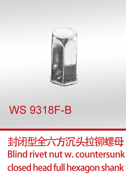 WS 9318F-B