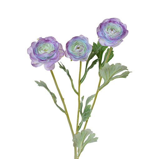 The graceful ranunculus manufacturers take you to understand the Habitat of ranunculus