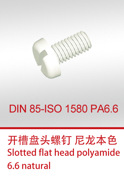 DIN 85-ISO 1580 PA6.6