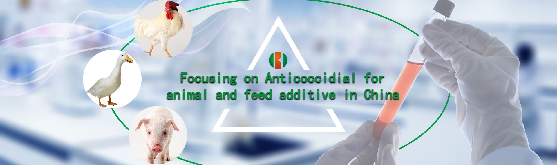 Focusing on Ant i coccidial foran imal and feed additive in China