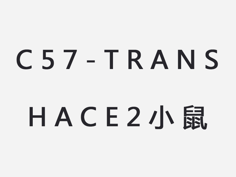 C57-trans hACE2小鼠