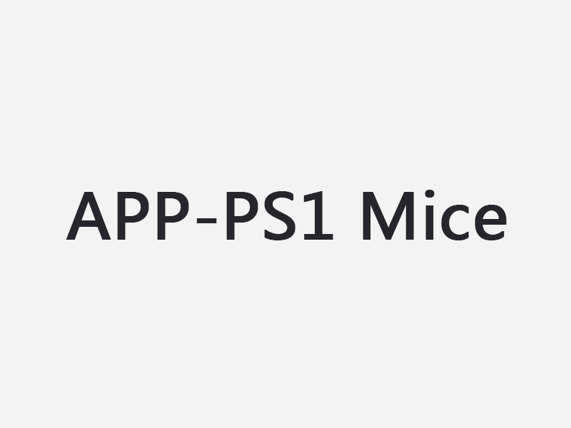 APP-PS1 Mice
