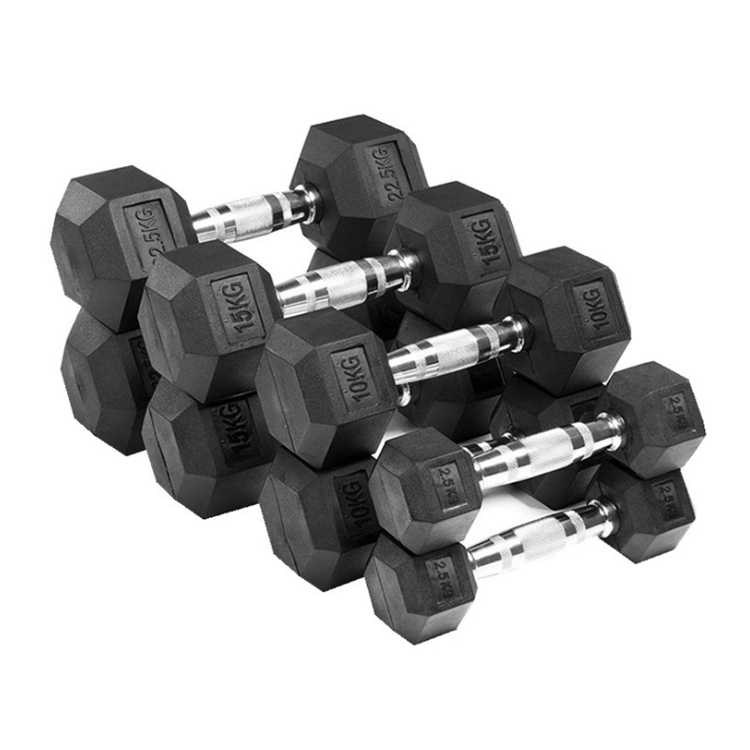 Hex Rubber Coated Dumbbell AP-201