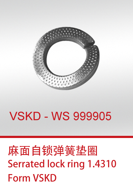 VSKD-WS999905+