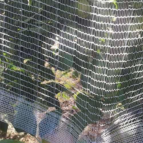 Customized shade net for greenhouse introduces the storage knowledge of shade net