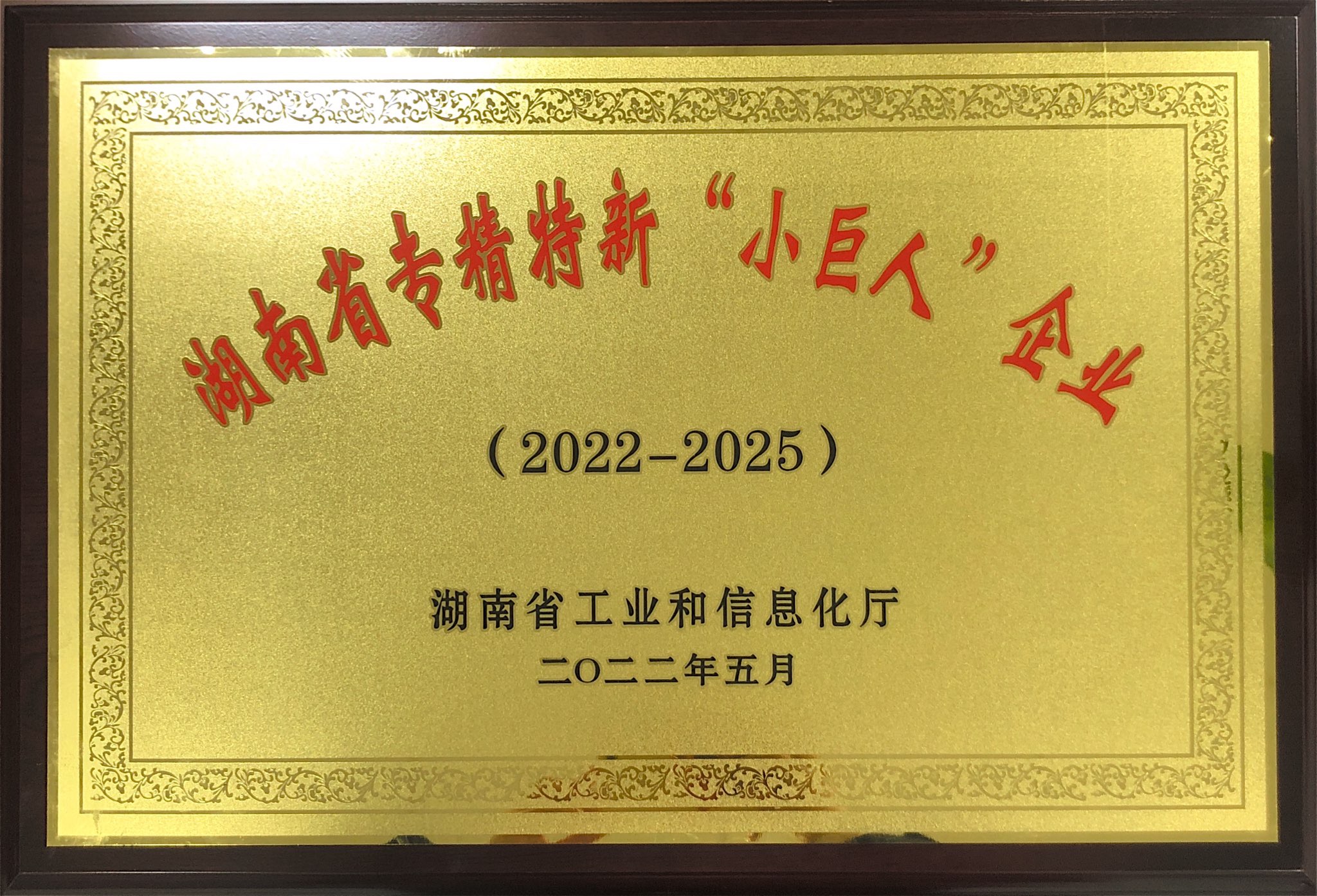 湖南省专精特新“小巨人”企业（2022-2025）